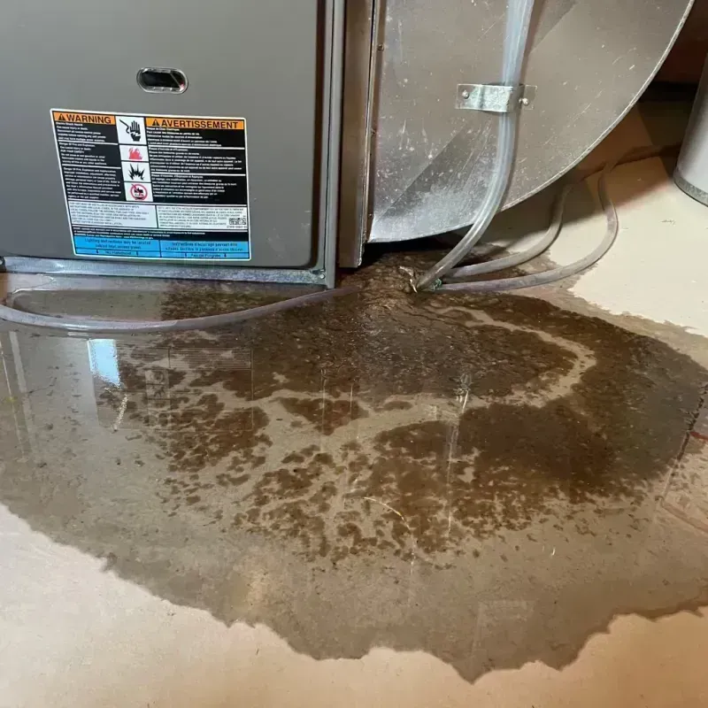 Appliance Leak Cleanup in Osage County, MO